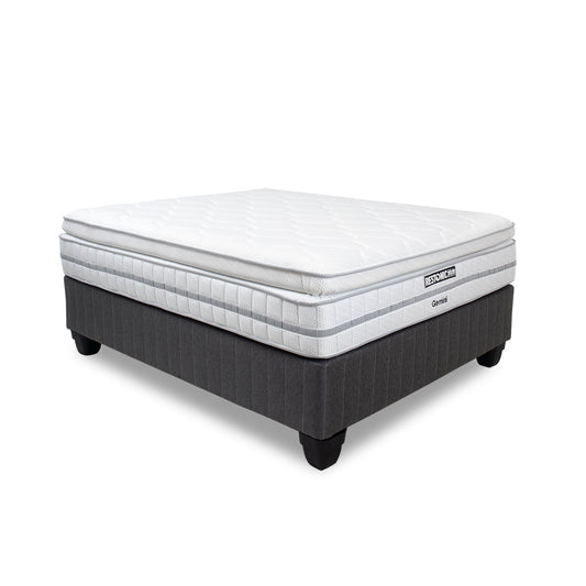 Restonic Gemini Queen Base & Mattress
