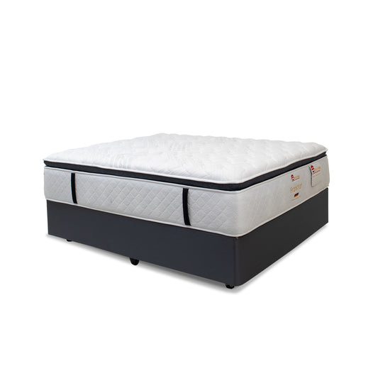 Noctura Frankfurt Queen Base & Mattress